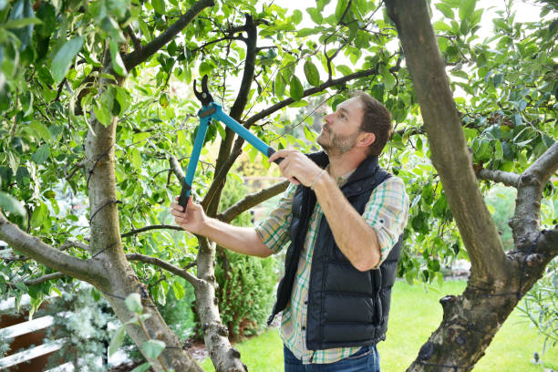 Best Tree Trimming Near Me  in Riner, VA